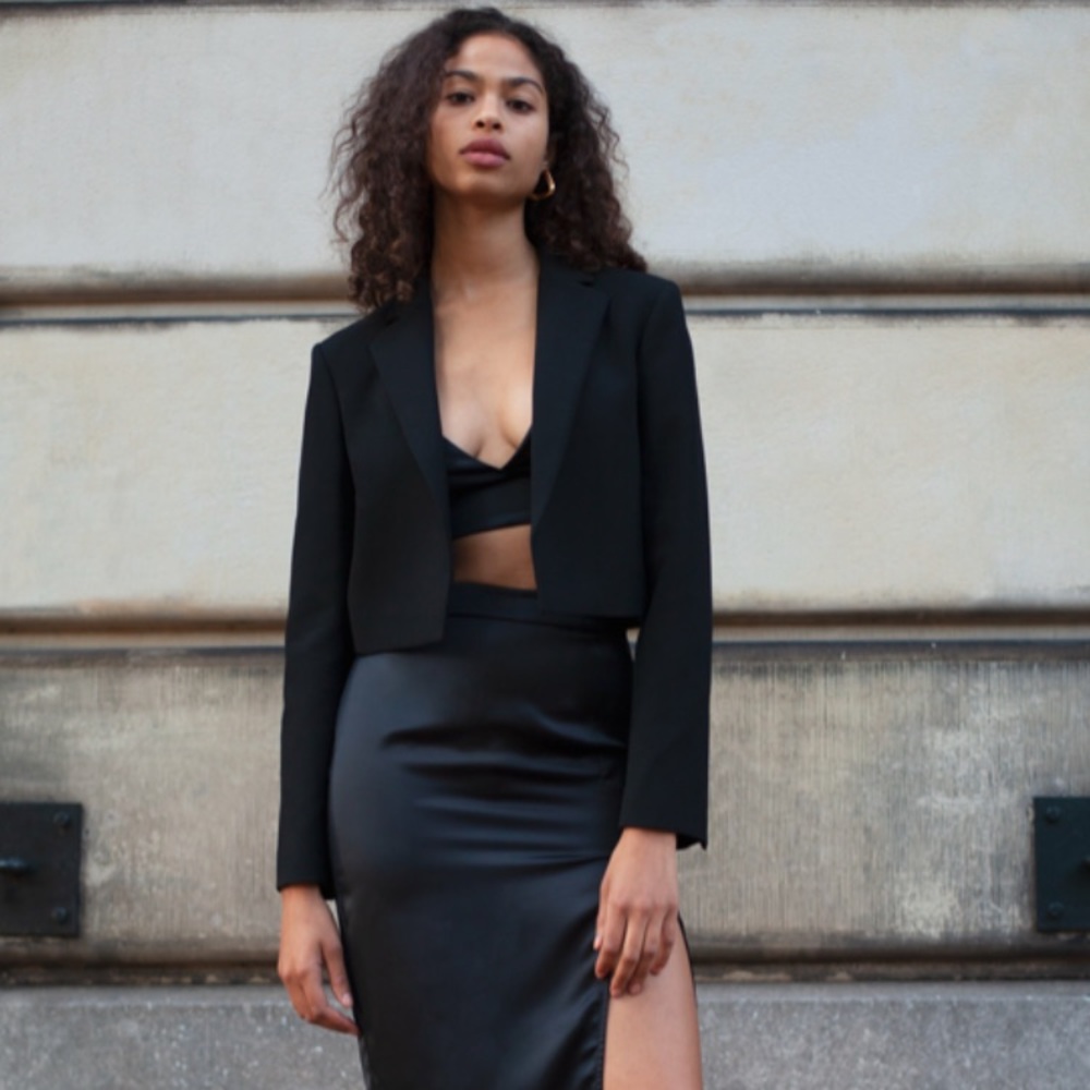 Aritzia Ten by babaton supernova blazer.